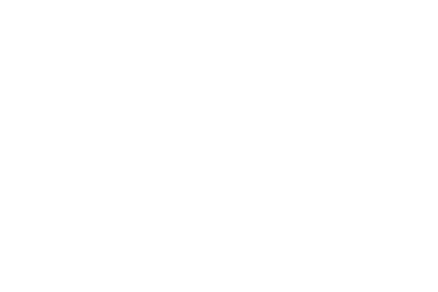 Green Ira Immigration Solutions Inc.